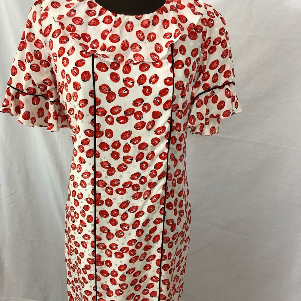 Silk Vintage Ladybug Dress